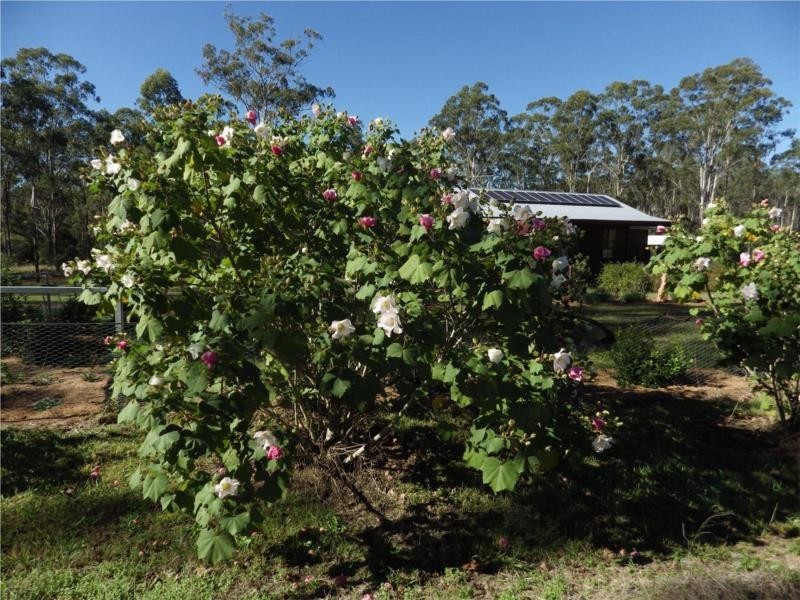 232 Franks Road, Blackbutt QLD 4306