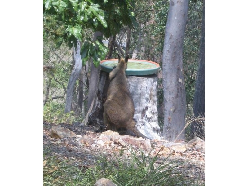 211 Thomas Road, Curra QLD 4570