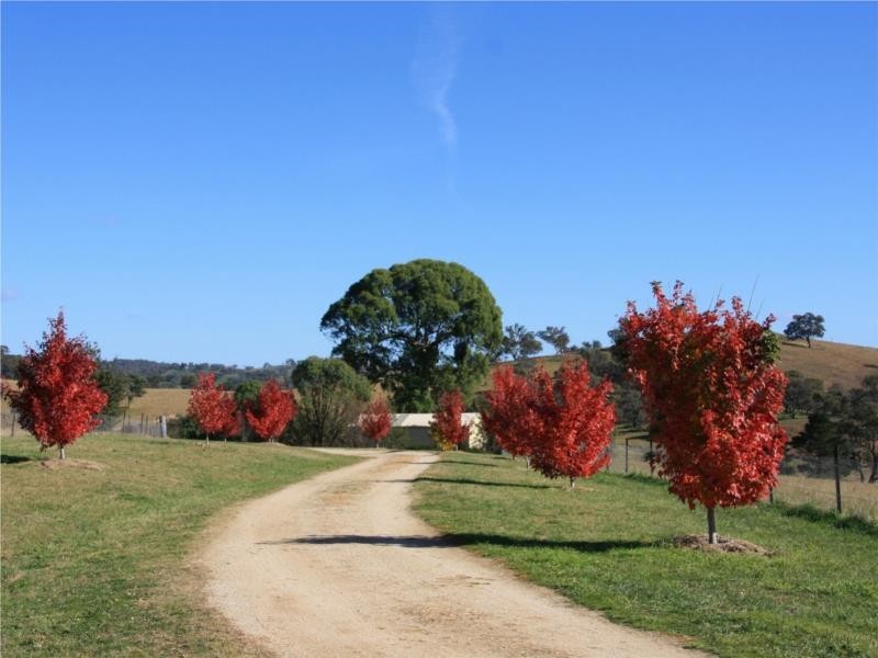 211 Rivulet Road, Bathurst NSW 2795