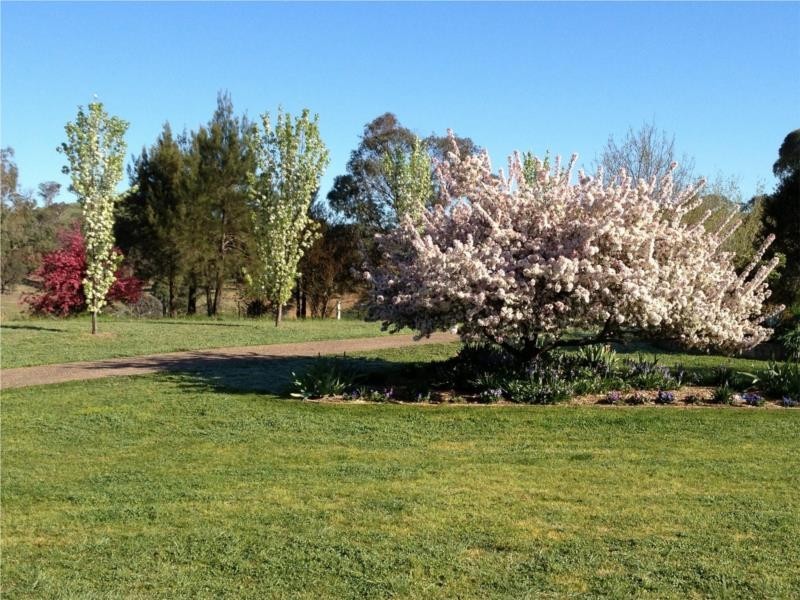 211 Rivulet Road, Bathurst NSW 2795