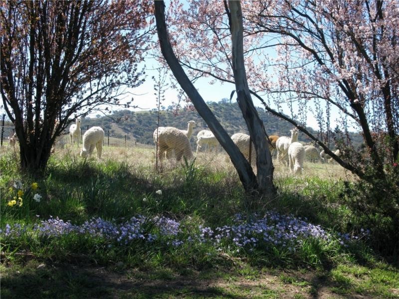 211 Rivulet Road, Bathurst NSW 2795