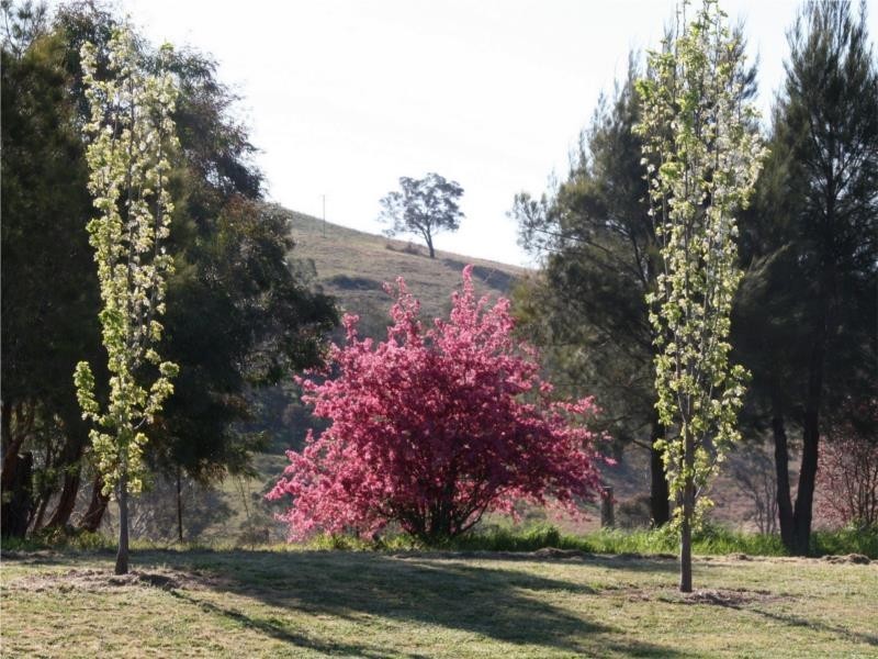 211 Rivulet Road, Bathurst NSW 2795