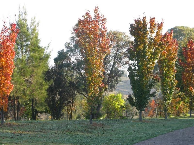 211 Rivulet Road, Bathurst NSW 2795