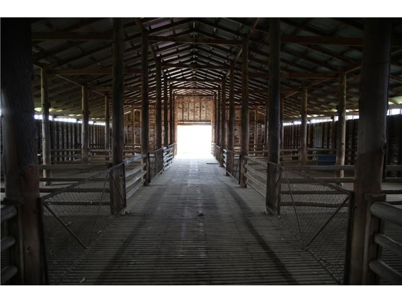 2662 Caroda Road, Bingara NSW 2404