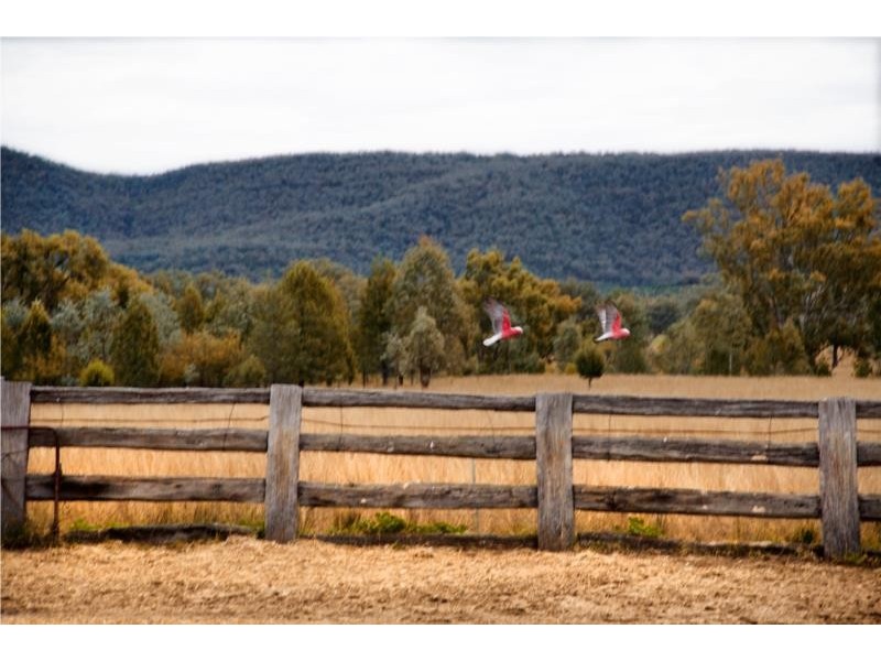 2662 Caroda Road, Bingara NSW 2404