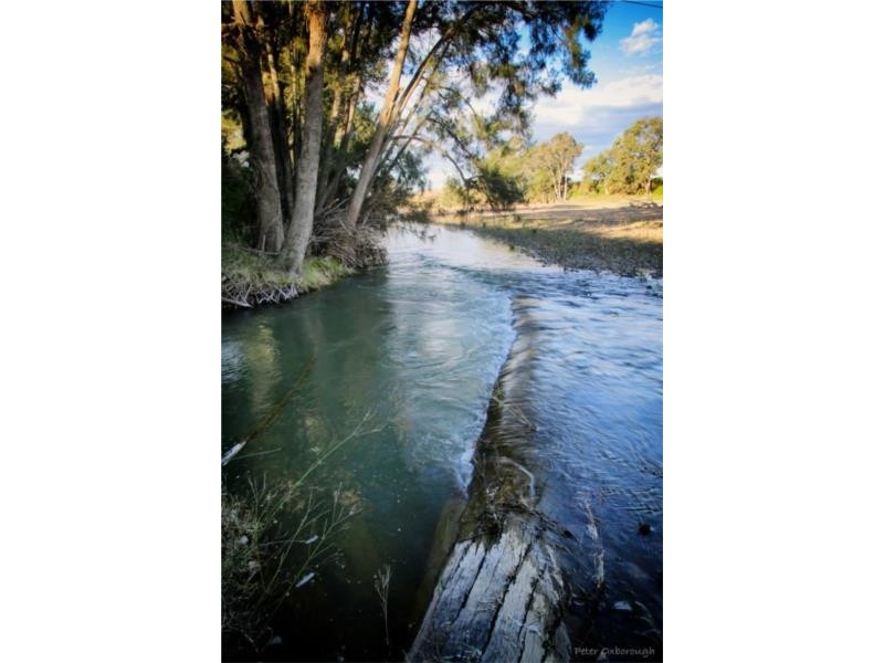 2662 Caroda Road, Bingara NSW 2404