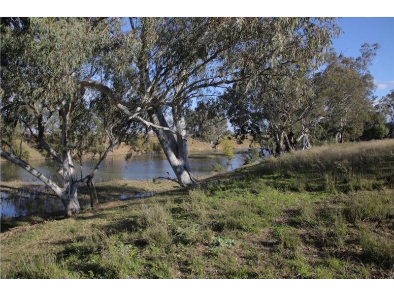 2662 Caroda Road, Bingara NSW 2404