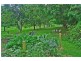 15 Thurgoods Road, Finch Hatton QLD 4756