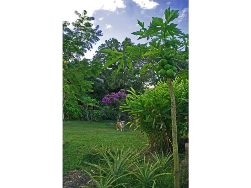 15 Thurgoods Road, Finch Hatton QLD 4756