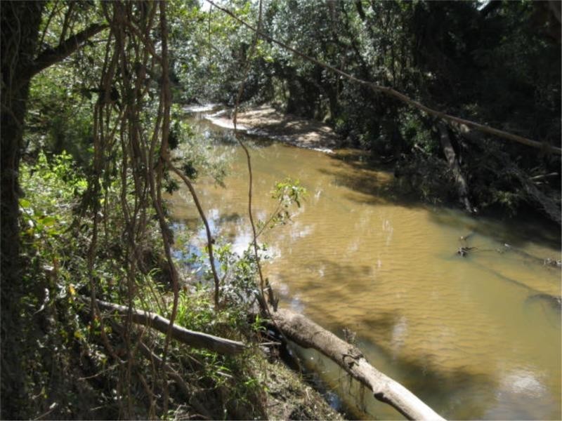 107 Whiteman Creek Road, Whiteman Creek NSW 2460