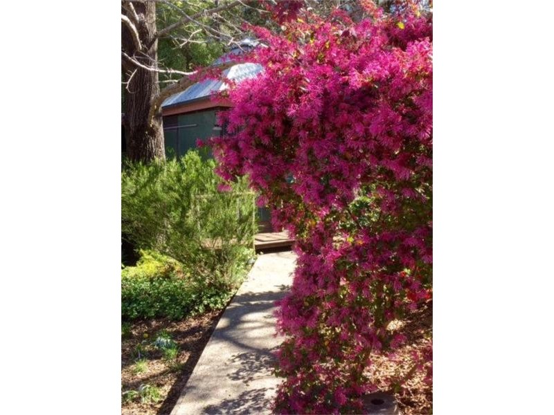 7 Farm Road, Springwood NSW 2777