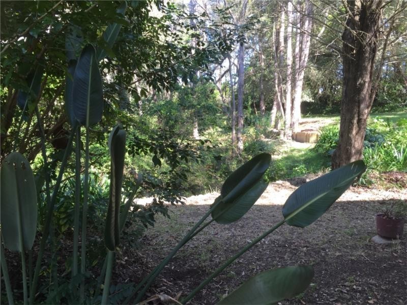 7 Farm Road, Springwood NSW 2777