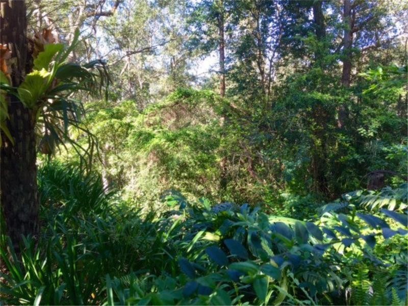 7 Farm Road, Springwood NSW 2777