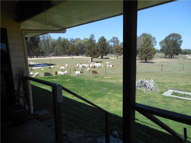 481 Greenup-Limevale Rd Inglewood QLD 4387, Inglewood QLD 4387