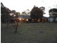 144 Dight Road, Rosenthal Heights QLD 4370