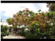 3 Red Ash Court, Palmwoods QLD 4555