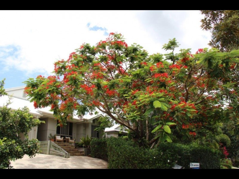 3 Red Ash Court, Palmwoods QLD 4555