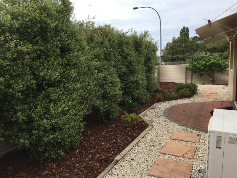 9 Pocket Place, Newnham TAS 7248