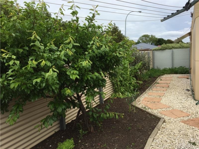 9 Pocket Place, Newnham TAS 7248