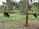 518 GLENFORD GULLY ROAD, Middleton SA 5213