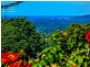 Coffs Harbour NSW 2450