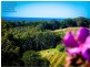 Coffs Harbour NSW 2450