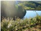 Coffs Harbour NSW 2450