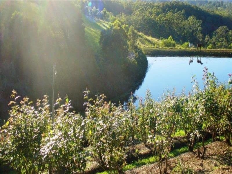 Coffs Harbour NSW 2450