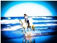 Coffs Harbour NSW 2450