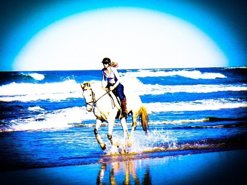 Coffs Harbour NSW 2450