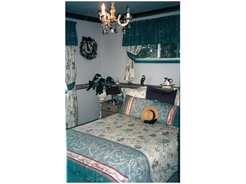 4 Curlew Street, Birkdale QLD 4159