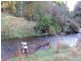 360 Thompsons Road, Forth TAS 7310