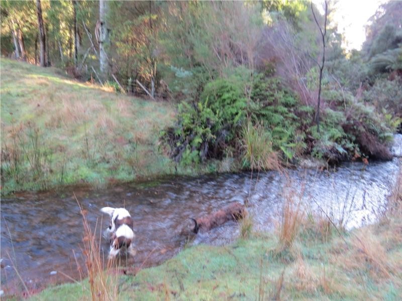 360 Thompsons Road, Forth TAS 7310