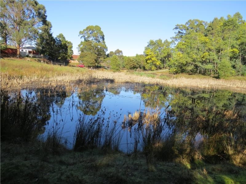 360 Thompsons Road, Forth TAS 7310