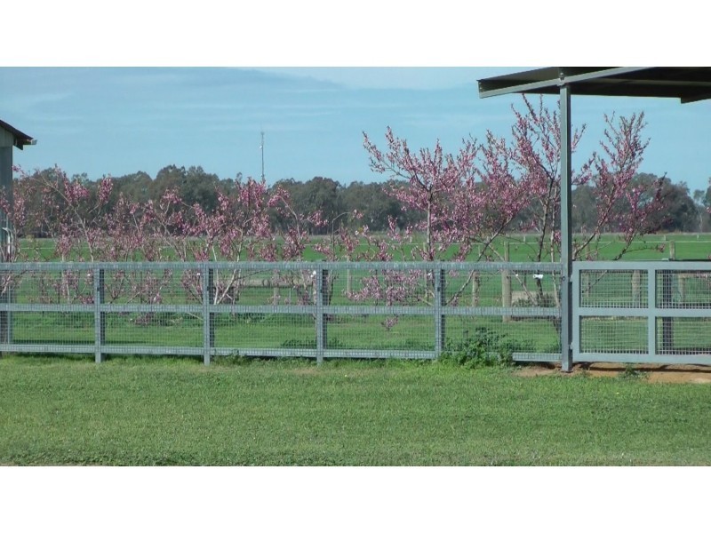 240 Cassidys Road, Murchison VIC 3610