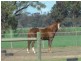 240 Cassidys Road, Murchison VIC 3610