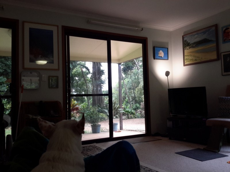 39 Endeavour Valley Road, Cooktown QLD 4895