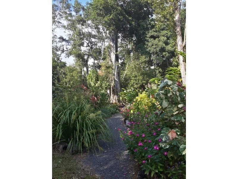 39 Endeavour Valley Road, Cooktown QLD 4895