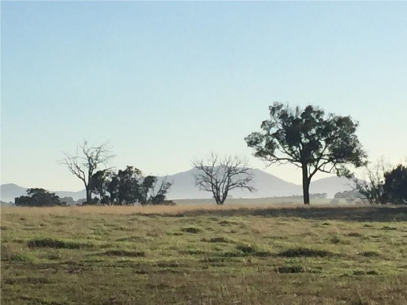 1480 Riches road, Mount Barker WA 6324