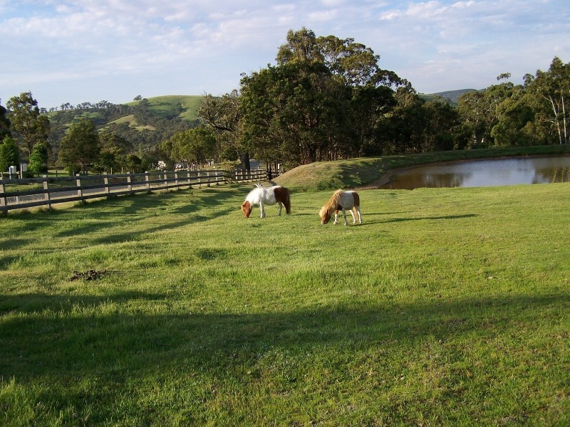 18 Mathiesons Road, Wandong VIC 3758