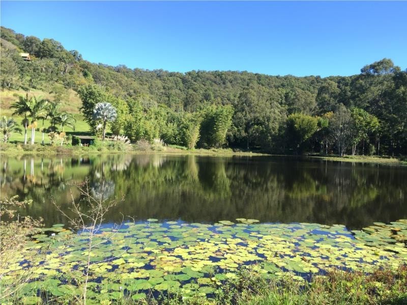 89 Dahlia Road, Verrierdale QLD 4562