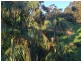 12 Koorabel Avenue, Copacabana NSW 2251