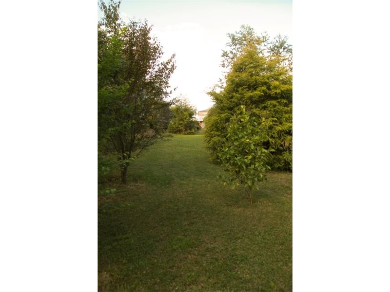 20 Newcombe Street, Drysdale VIC 3222