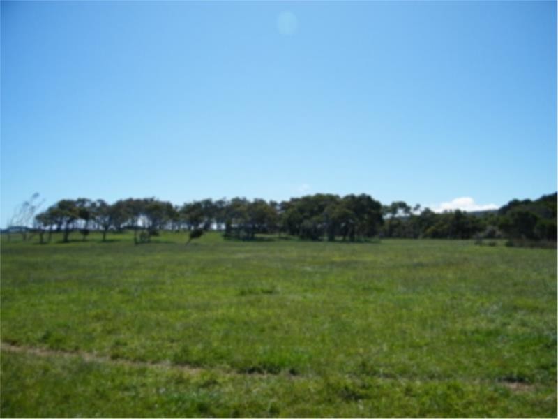 L2 Ficifolia Road, Peaceful Bay WA 6333