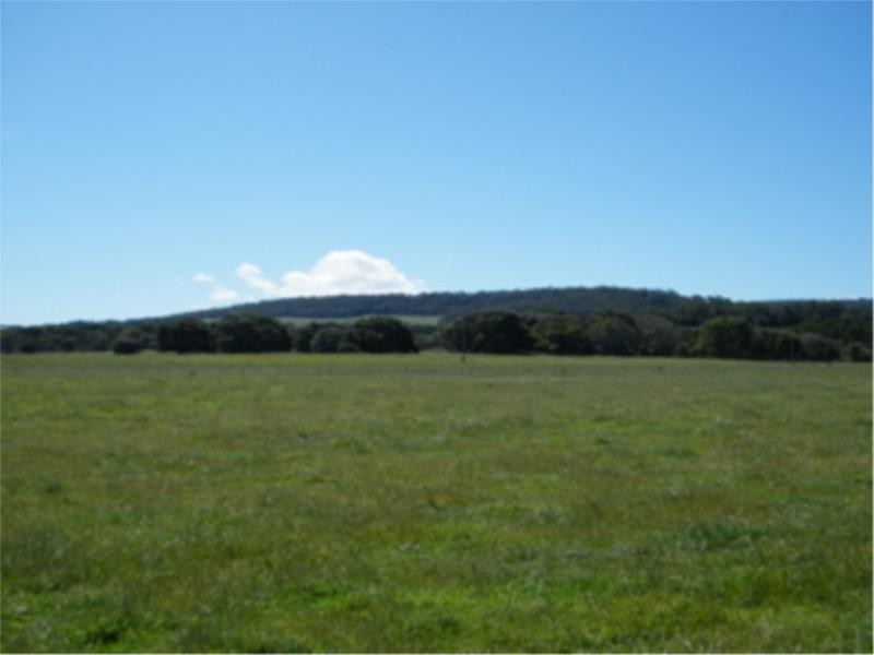 L2 Ficifolia Road, Peaceful Bay WA 6333