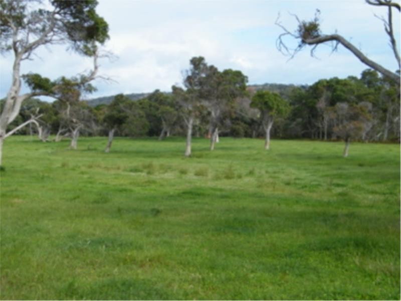 L2 Ficifolia Road, Peaceful Bay WA 6333