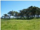 L2 Ficifolia Road, Peaceful Bay WA 6333