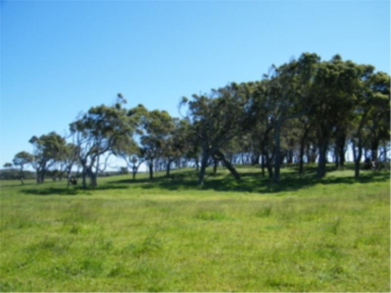 L2 Ficifolia Road, Peaceful Bay WA 6333