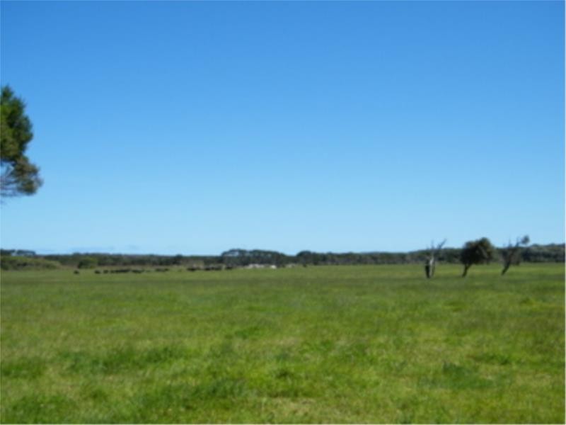 L2 Ficifolia Road, Peaceful Bay WA 6333