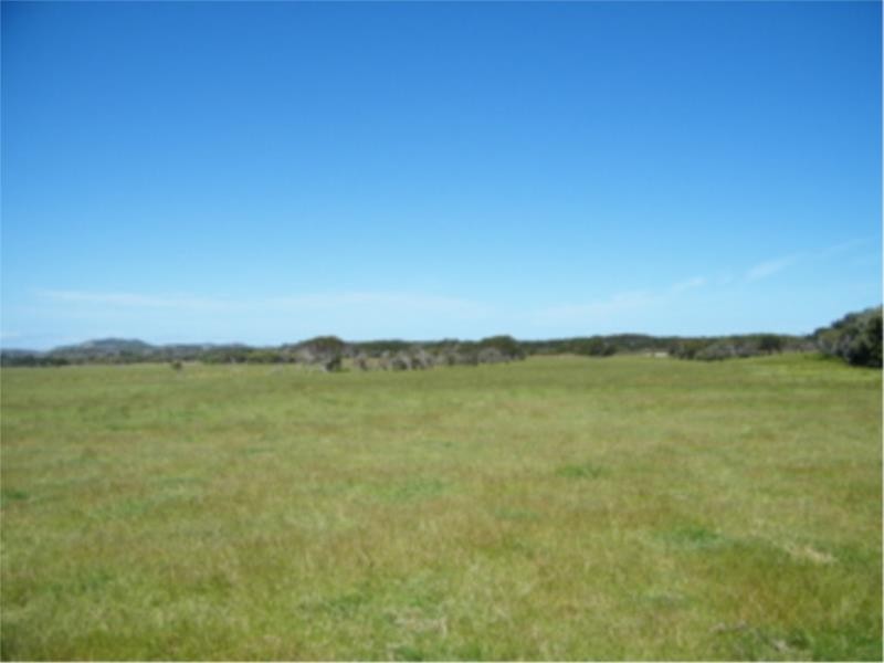 L2 Ficifolia Road, Peaceful Bay WA 6333